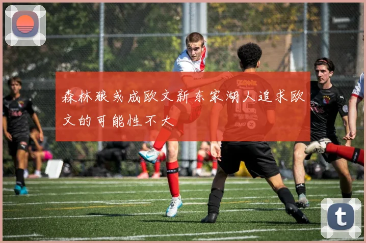 森林狼或成欧文新东家湖人追求欧文的可能性不大